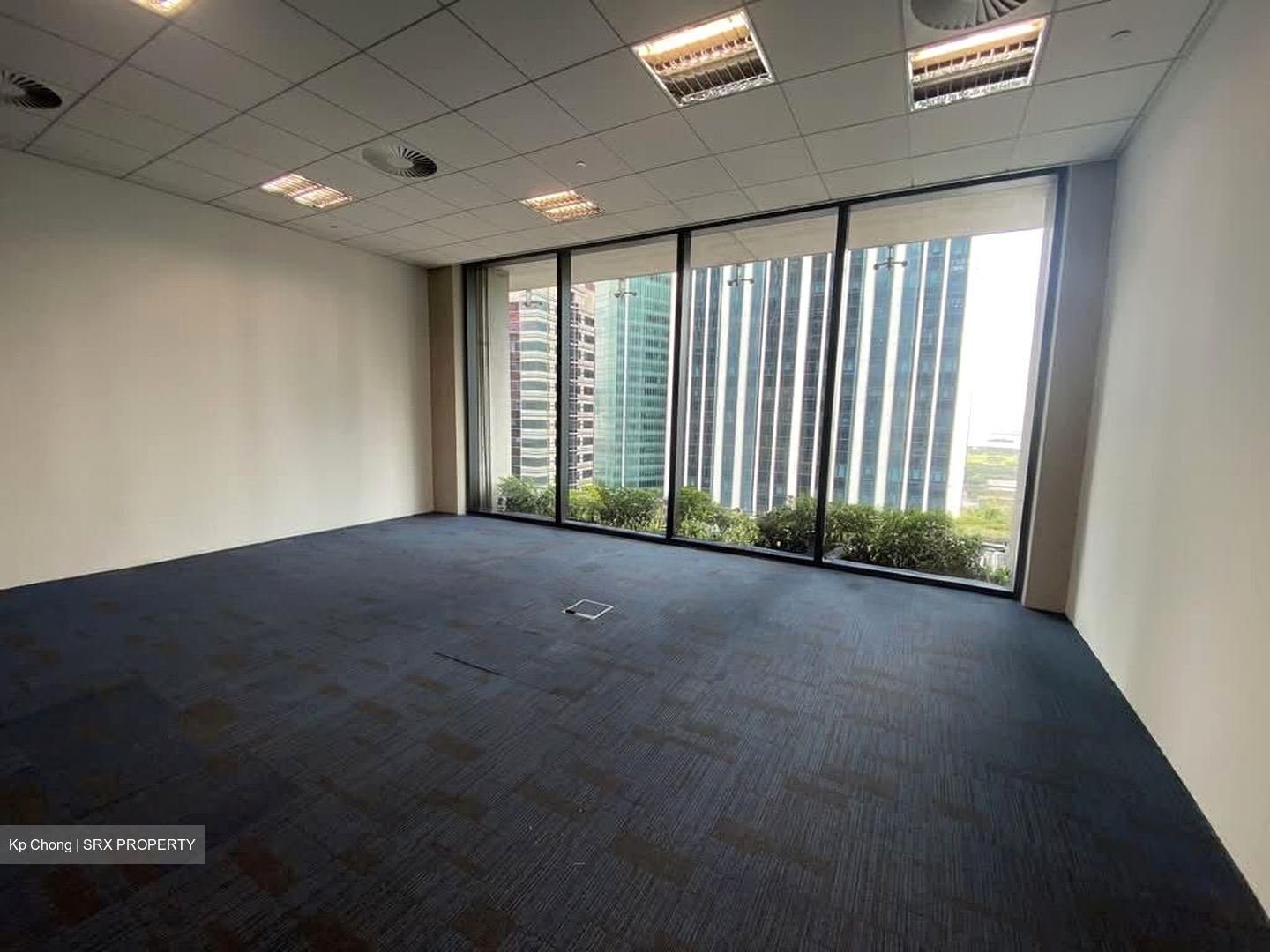 Capitagreen (D1), Office #555453881